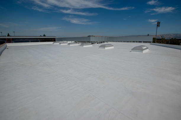 Best Solar Panel Roofing Installation  in Nashwauk, MN