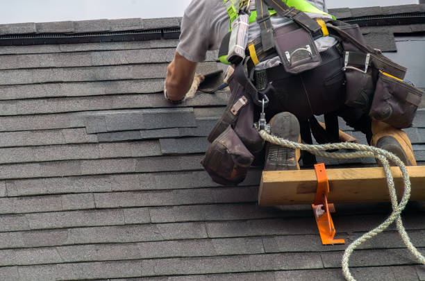Best Roof Waterproofing  in Nashwauk, MN
