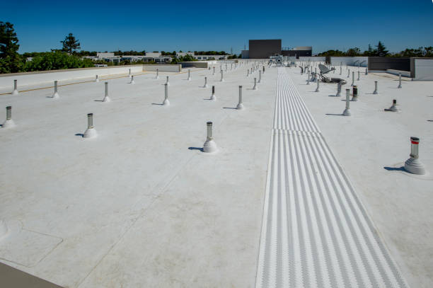 Best Roof Ventilation Installation  in Nashwauk, MN